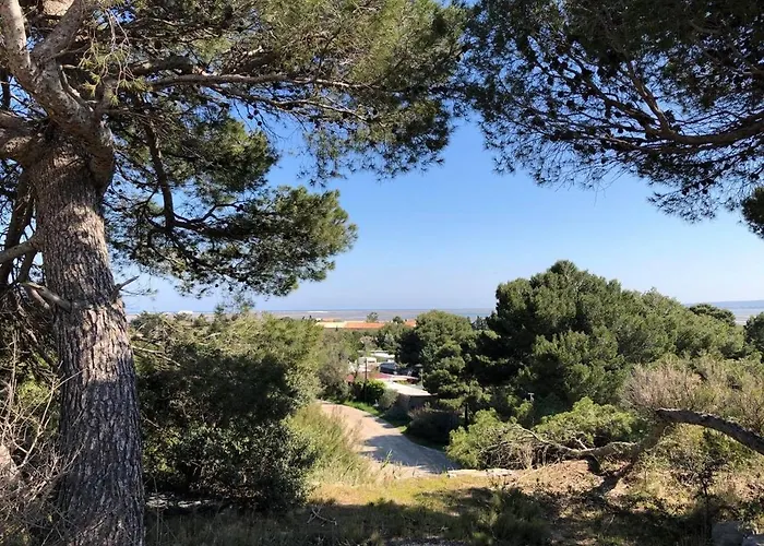 شقة Independant Confort Pour 4 Personnes 25 M Carres La Palme